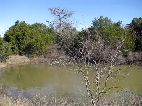 County Road 421