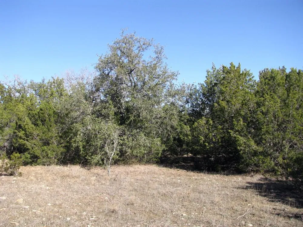 County Road 421 Evant, TX 76525