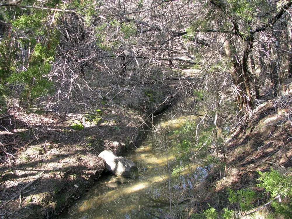 County Road 421 Evant, TX 76525
