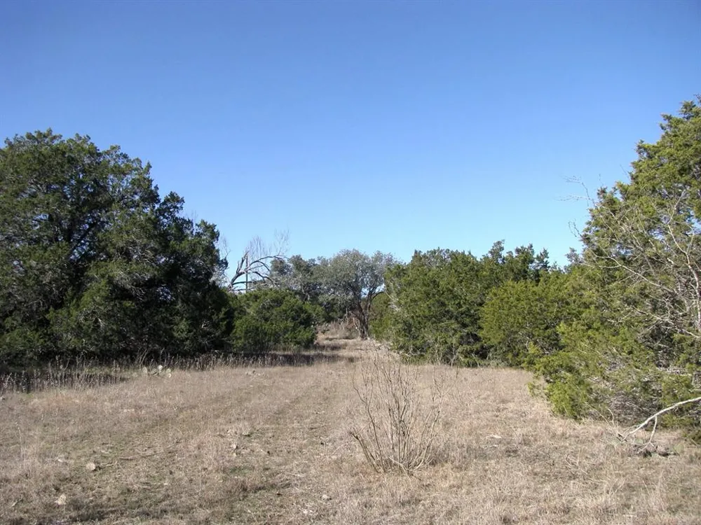 County Road 421 Evant, TX 76525