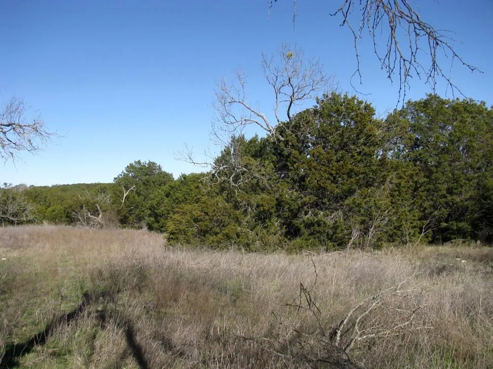 County Road 421 Evant, TX 76525