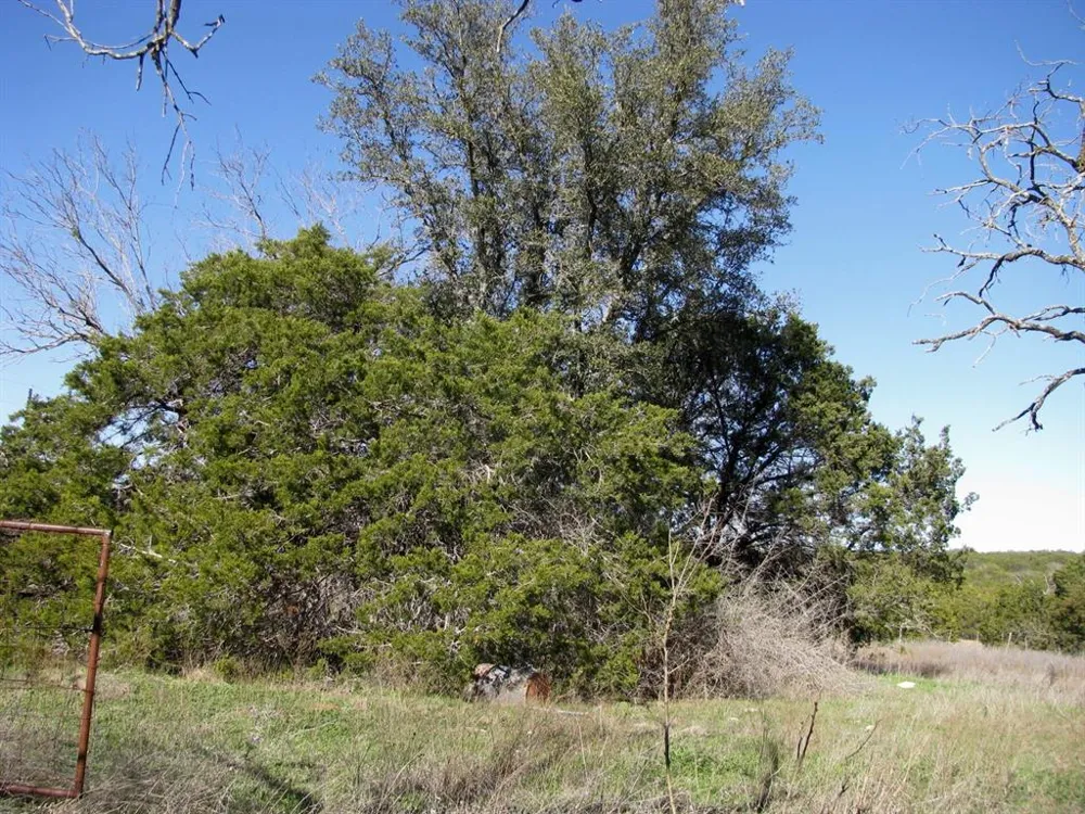 County Road 421 Evant, TX 76525