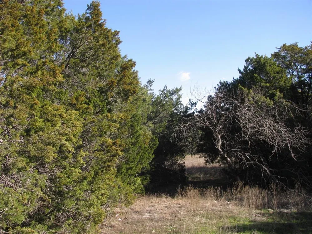 County Road 421 Evant, TX 76525