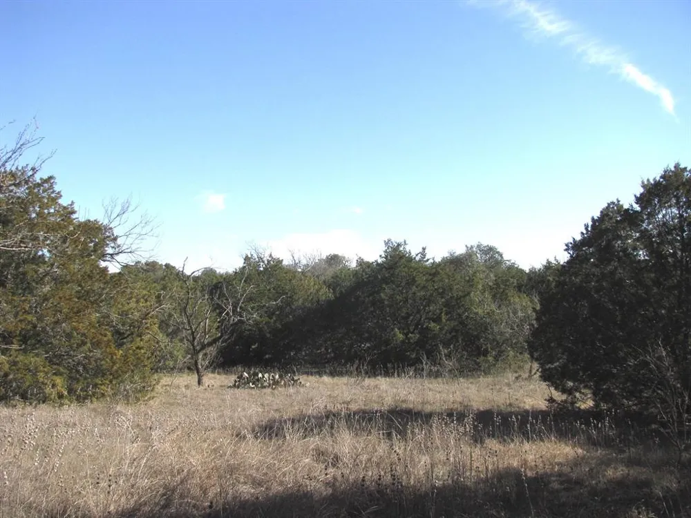 County Road 421 Evant, TX 76525