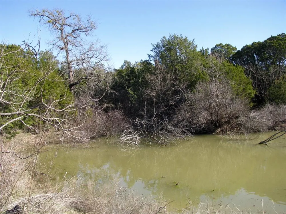 County Road 421 Evant, TX 76525