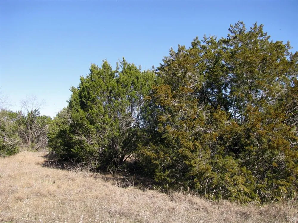 County Road 421 Evant, TX 76525