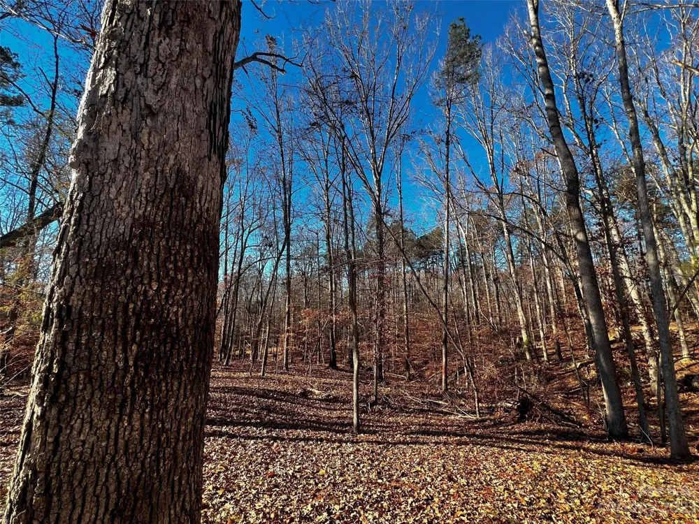 146 Copper Pine Lane #3 Davidson, NC 28036