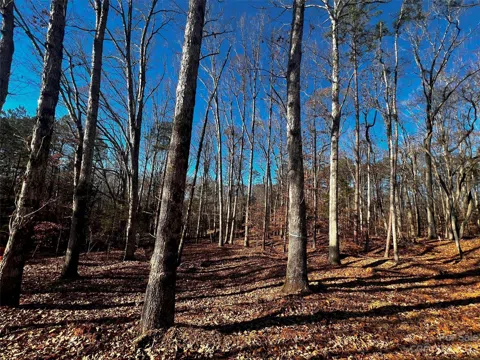 150 Copper Pine Lane #4