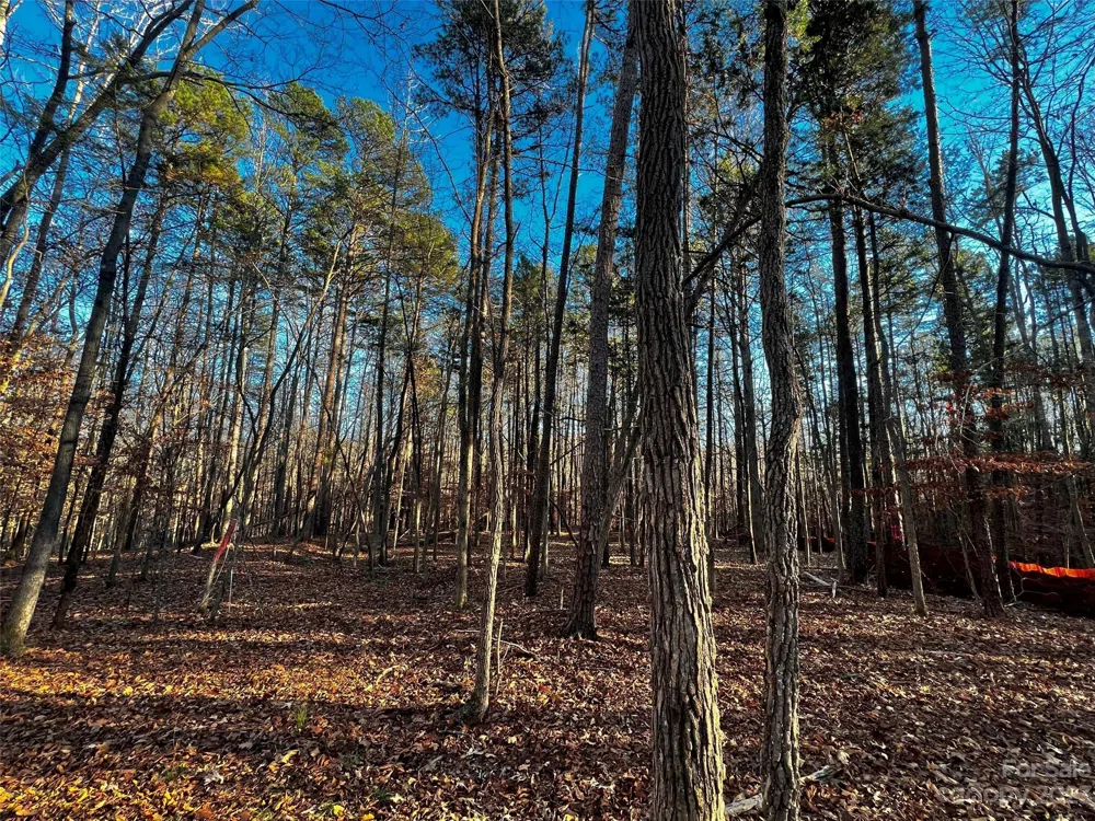 126 Hunt Camp Trail #20 Davidson, NC 28036