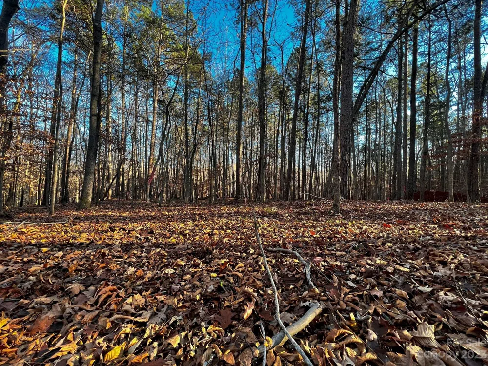 126 Hunt Camp Trail #20 Davidson, NC 28036