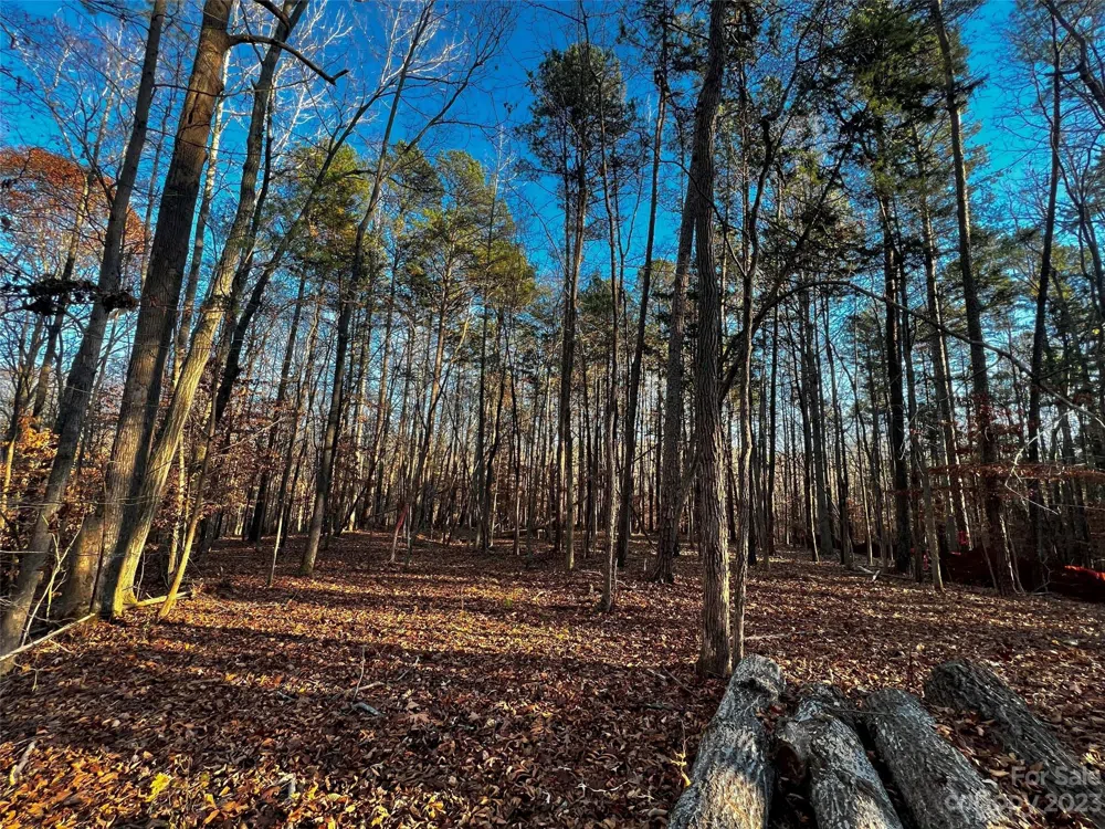 126 Hunt Camp Trail #20 Davidson, NC 28036