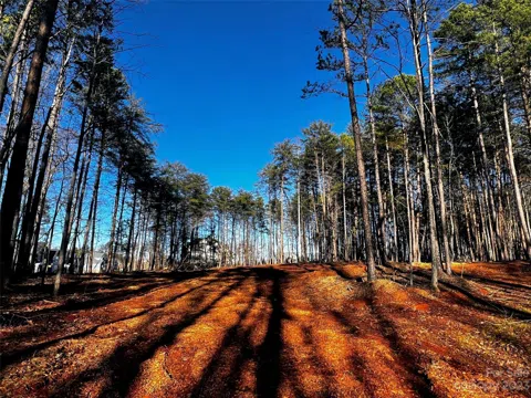 109 Hunt Camp Trail #19