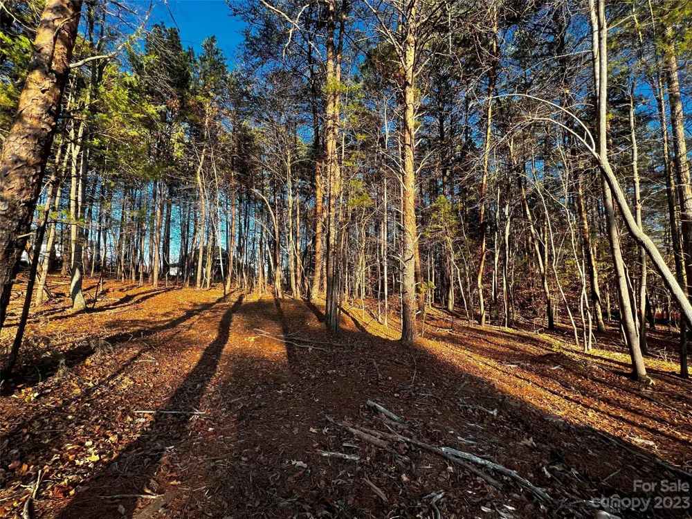 127 Hunt Camp Trail #16 Davidson, NC 28036