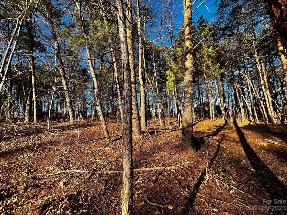 127 Hunt Camp Trail #16 Davidson, NC 28036