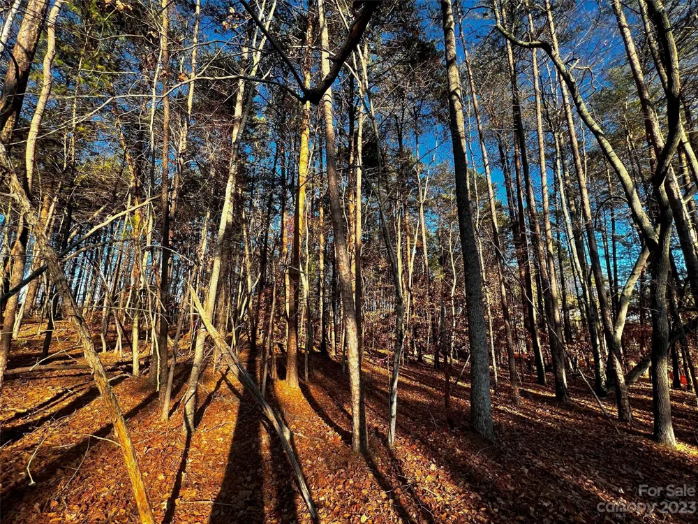 127 Hunt Camp Trail #16 Davidson, NC 28036