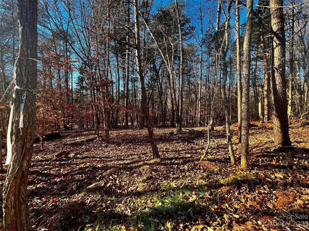 156 Copper Pine Lane #5 Davidson, NC 28036