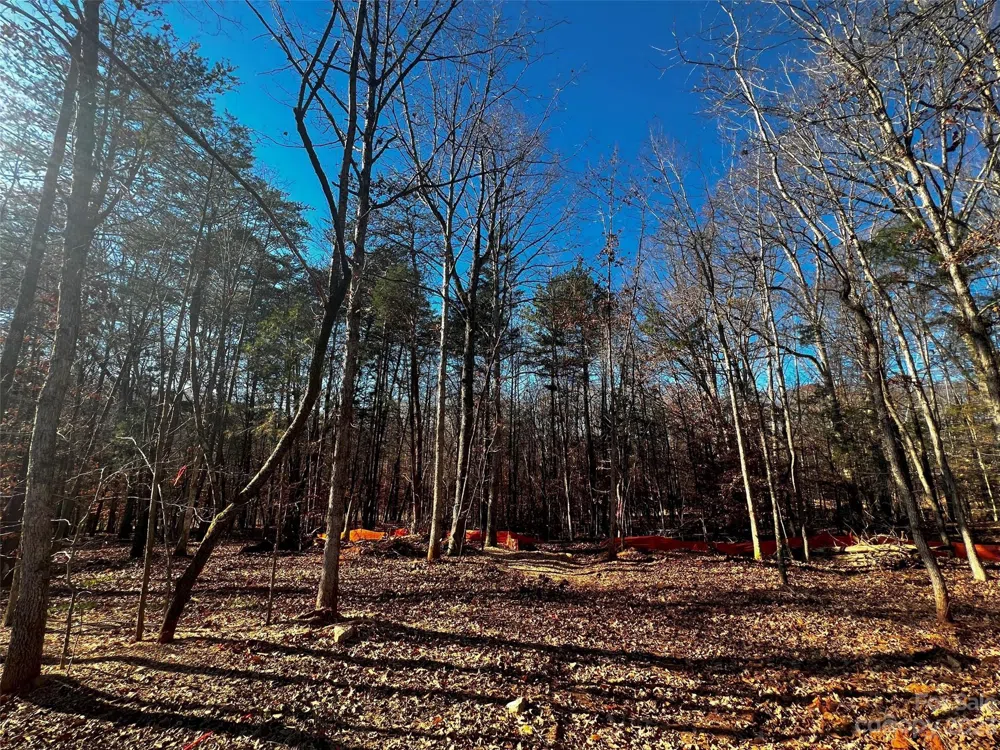 156 Copper Pine Lane #5 Davidson, NC 28036