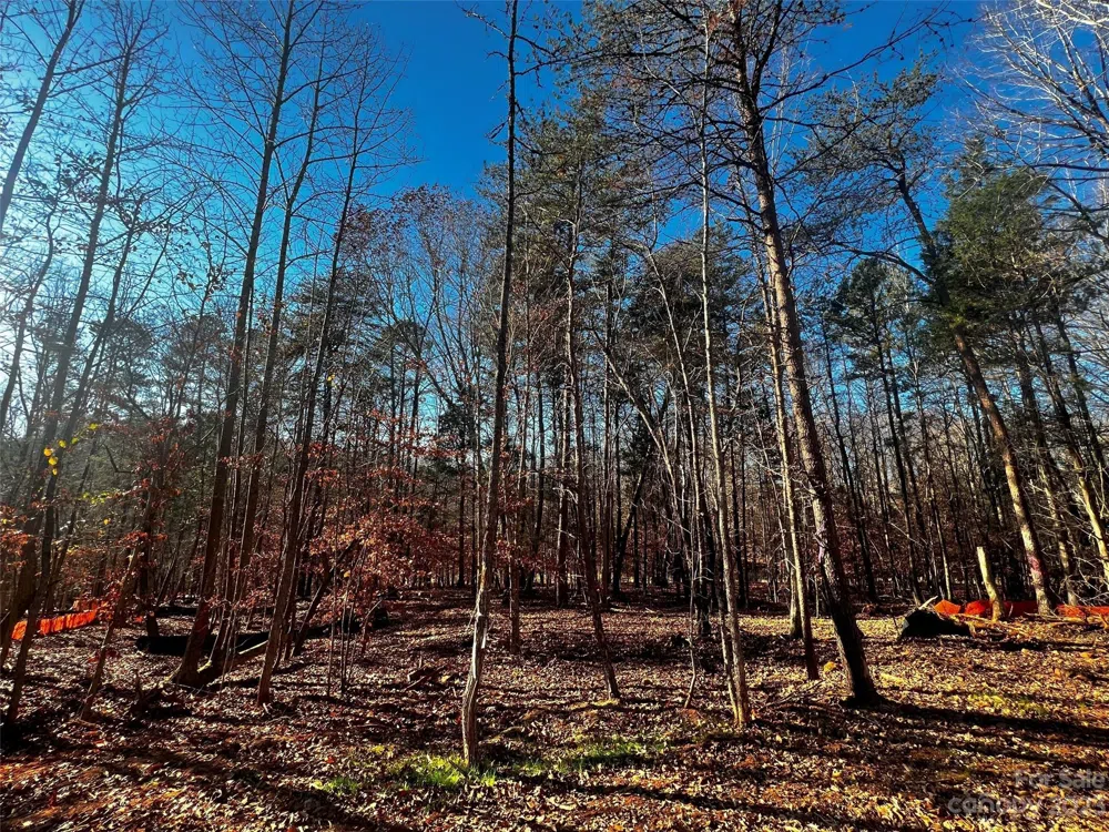 156 Copper Pine Lane #5 Davidson, NC 28036