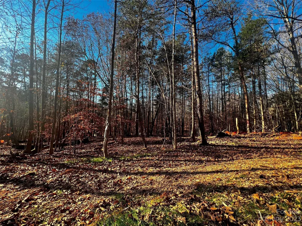 156 Copper Pine Lane #5 Davidson, NC 28036