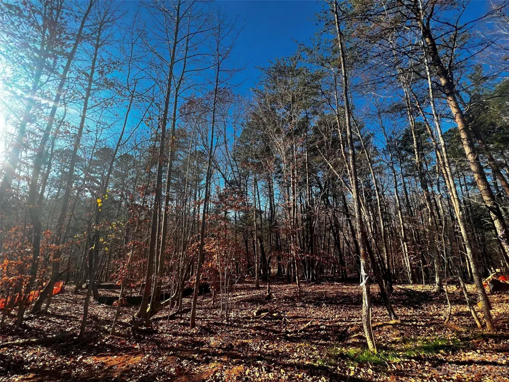 156 Copper Pine Lane #5 Davidson, NC 28036
