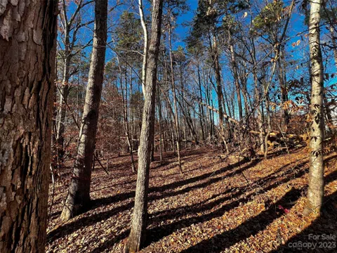 138 Copper Pine Lane #2