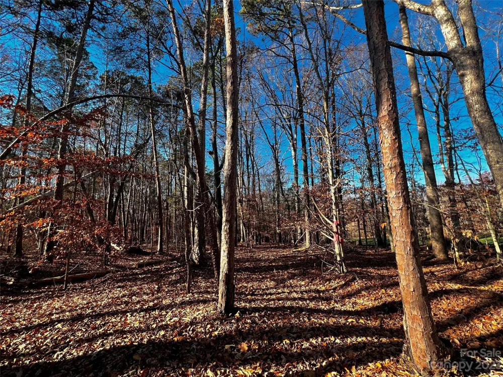 138 Copper Pine Lane #2 Davidson, NC 28036