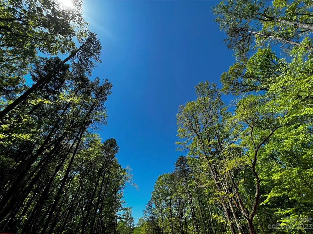 138 Copper Pine Lane #2 Davidson, NC 28036