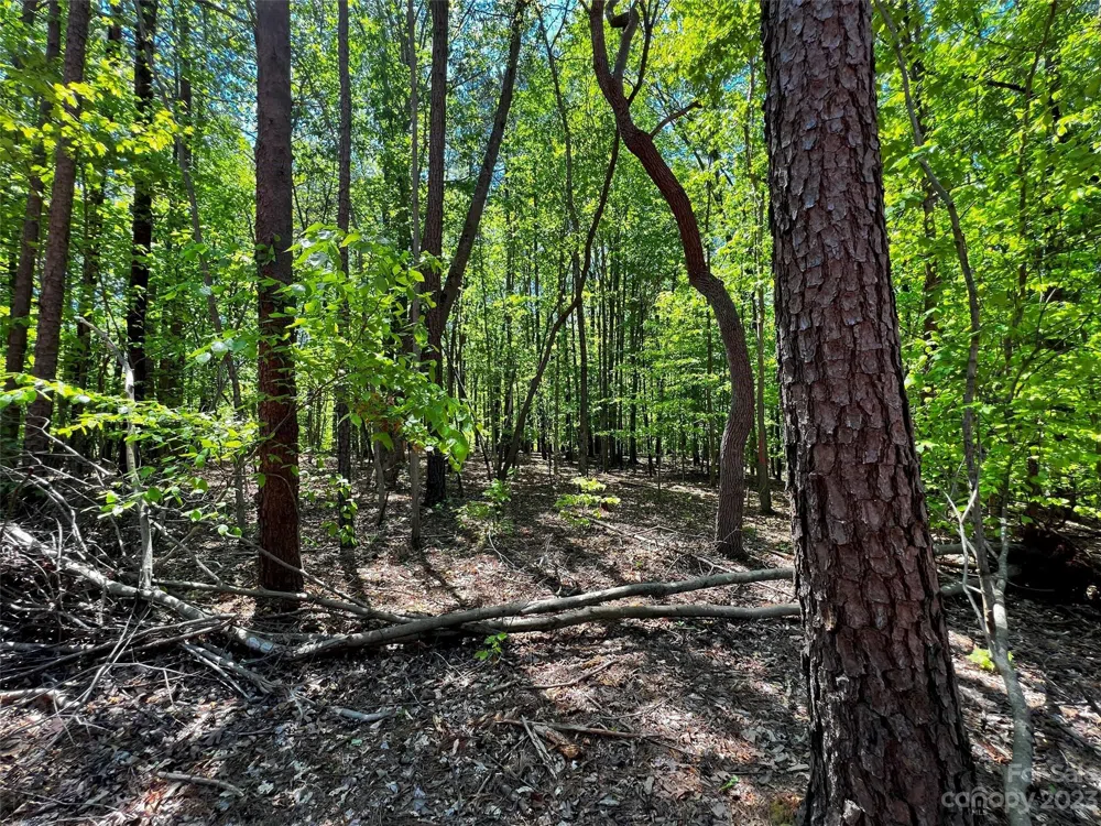 138 Copper Pine Lane #2 Davidson, NC 28036
