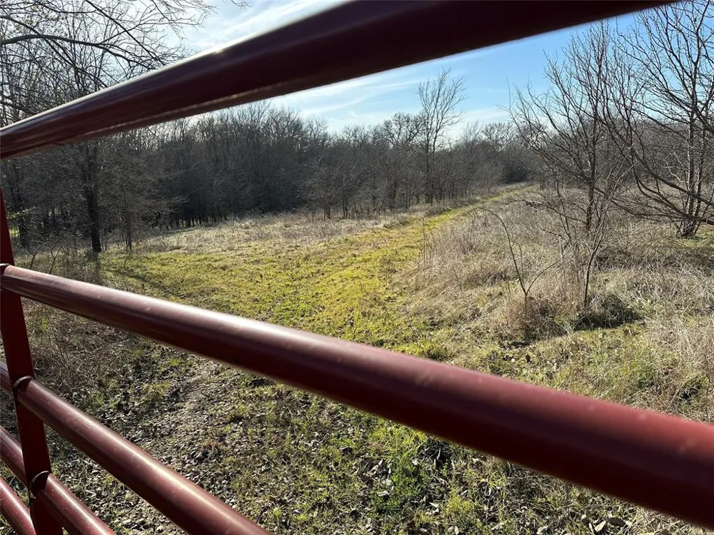 Izzy Lane Little Elm, TX 75068