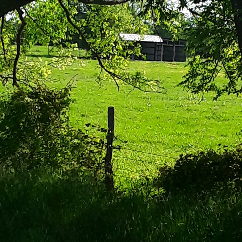 FM 1752 ROAD Whitewright, TX 75491