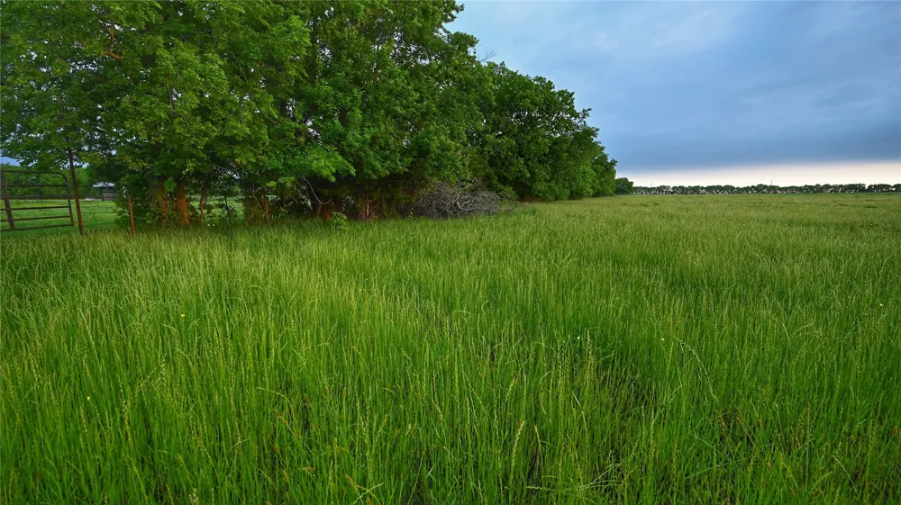 FM 1752 ROAD Whitewright, TX 75491