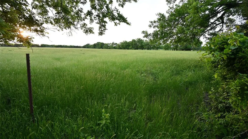 FM 1752 ROAD Whitewright, TX 75491