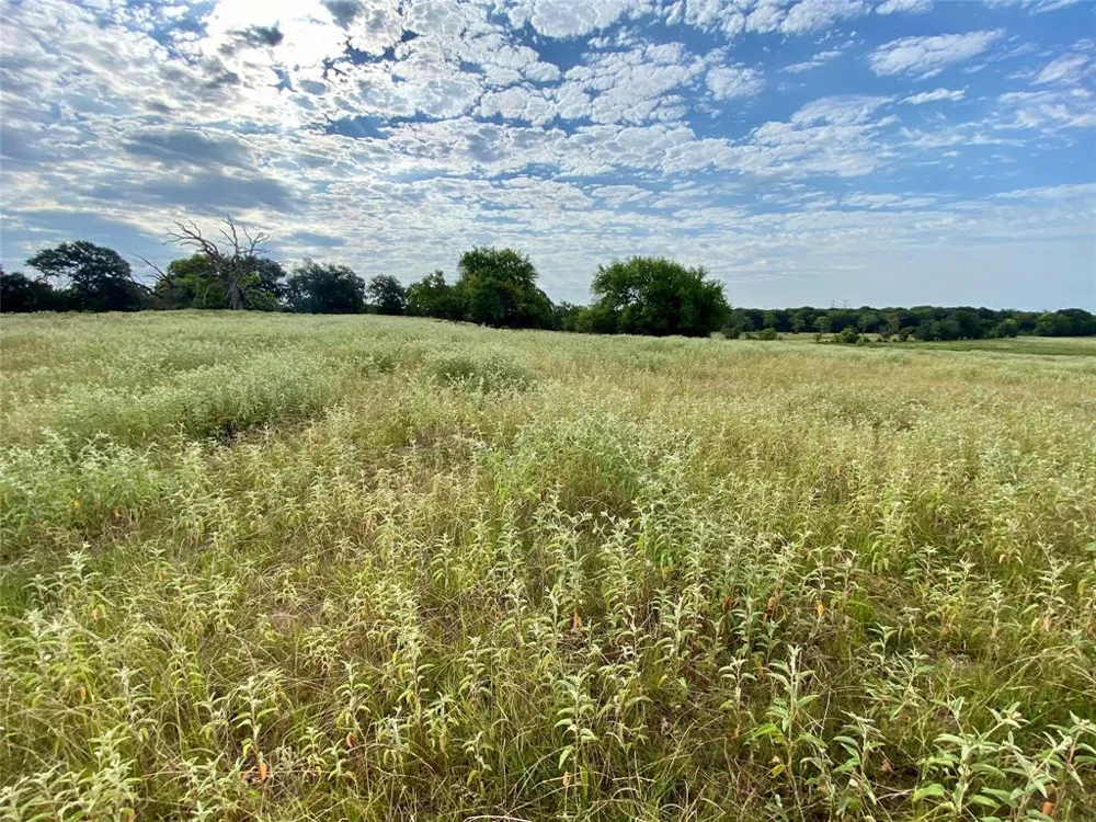 VZ County Road 2506 Canton, TX 75103