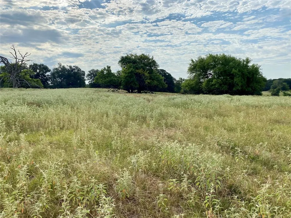 VZ County Road 2506 Canton, TX 75103