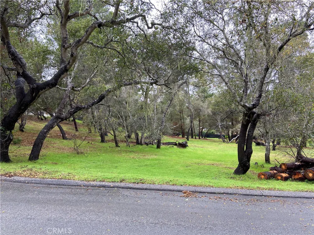 Kenneth Cambria, CA 93428