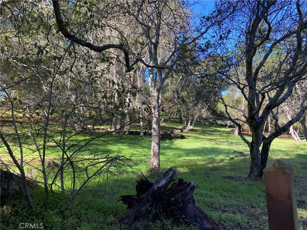Kenneth Cambria, CA 93428