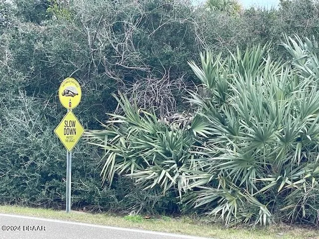 4415 S Atlantic Avenue Ponce Inlet, FL 32127