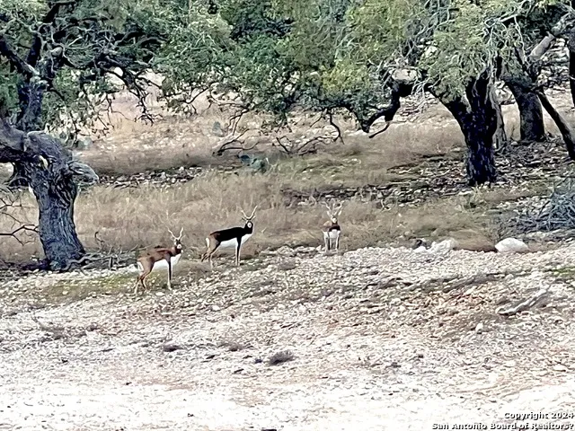 LOT 8 Cattlemans Crossing Kerrville, TX 78028