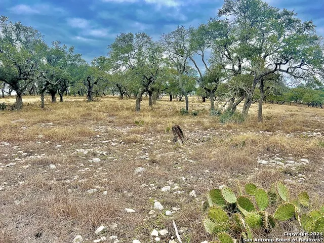 LOT 8 Cattlemans Crossing Kerrville, TX 78028