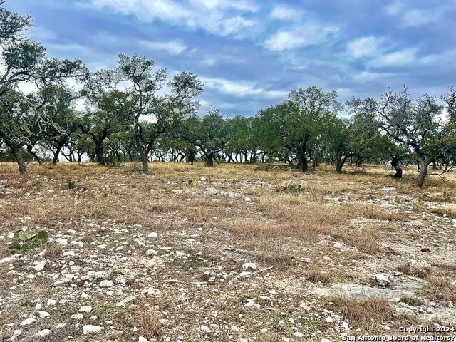 LOT 8 Cattlemans Crossing Kerrville, TX 78028