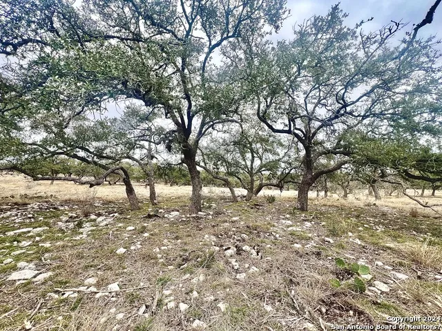 LOT 8 Cattlemans Crossing Kerrville, TX 78028