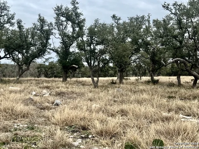 LOT 8 Cattlemans Crossing Kerrville, TX 78028