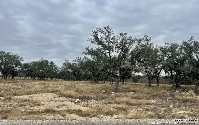 LOT 8 Cattlemans Crossing Kerrville, TX 78028