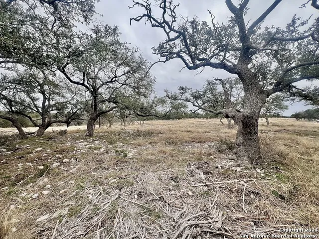 LOT 8 Cattlemans Crossing Kerrville, TX 78028
