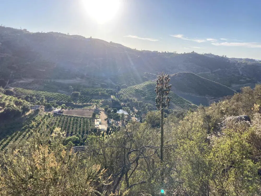 13723 Pauma Vista Dr Valley Center, CA 92082