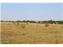 Fm 1978 San Marcos, TX 78666