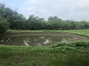 29 CR 126
