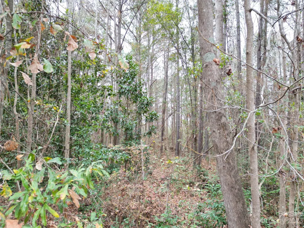 TBD 5th Street Hamlet, NC 28345