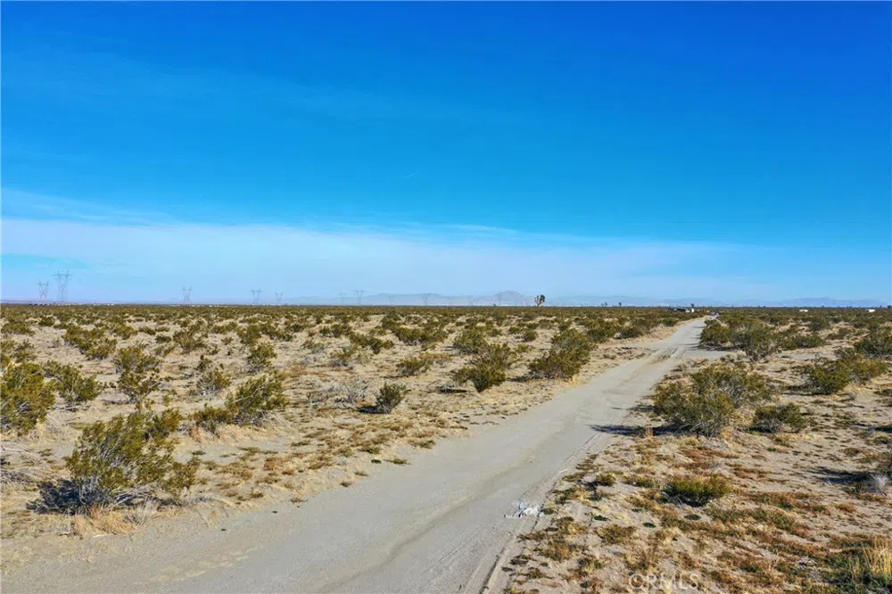 Holly Road Pinon Hills, CA 92371
