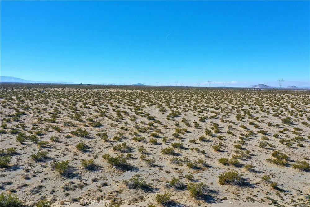 Holly Road Pinon Hills, CA 92371